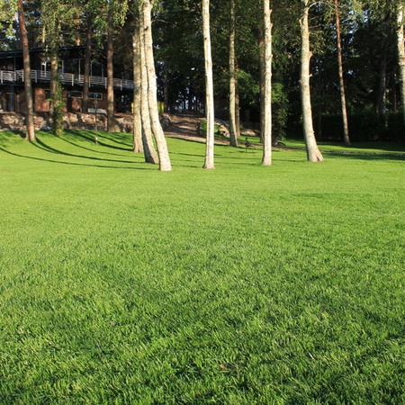 Kaupunkikartano