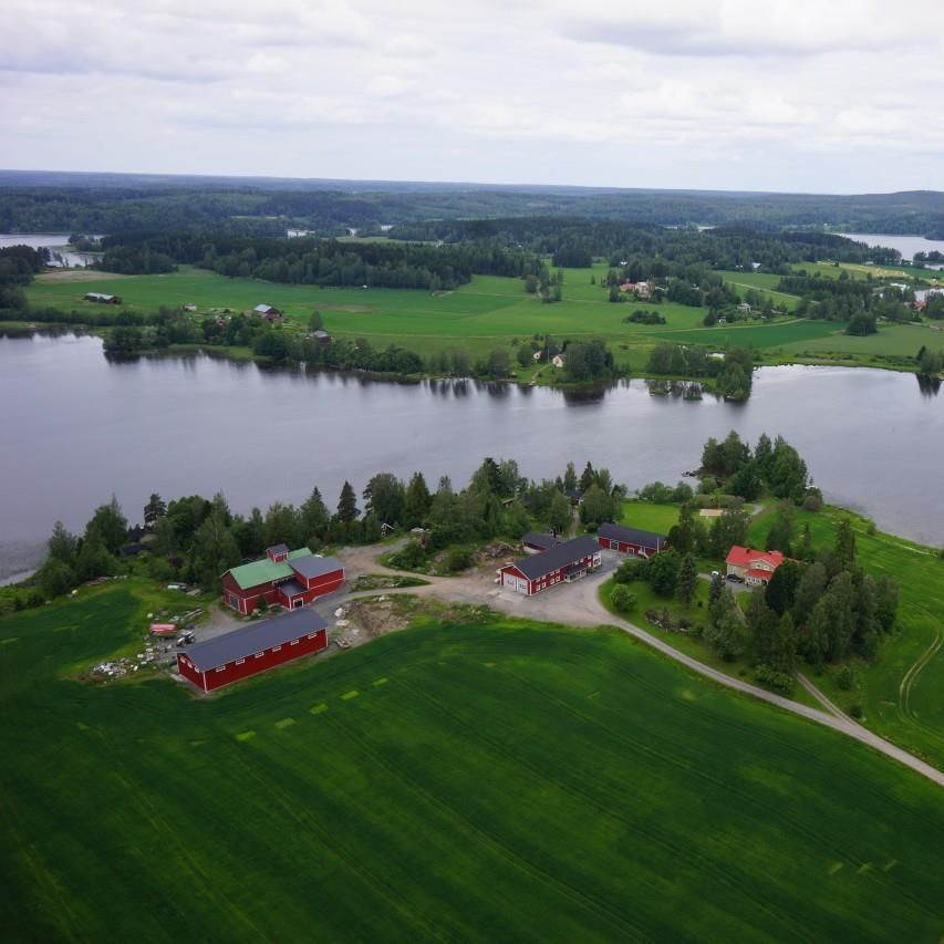 Knuutin tila
