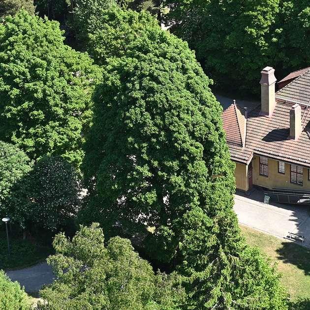 Villa Elfvik